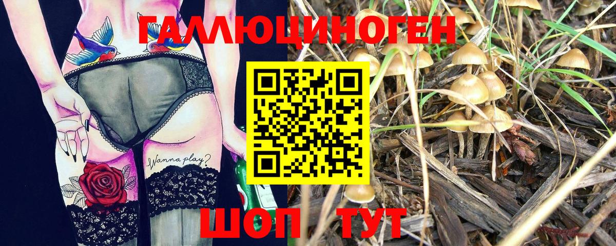 Галлюциногенные грибы MAGIC MUSHROOMS  Вход с VPN  Зеленодольск 