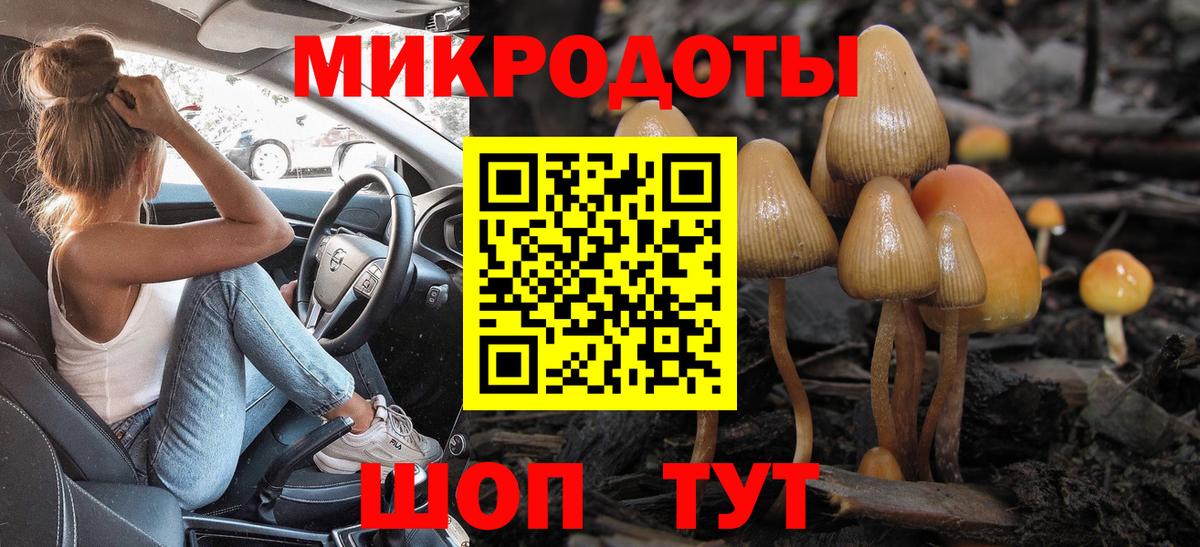 Псилоцибиновые грибы мицелий Зеленодольск